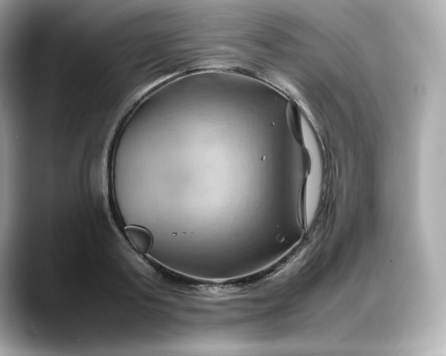 X0000088370795200706051040