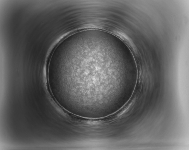 X0000088370796200706051040