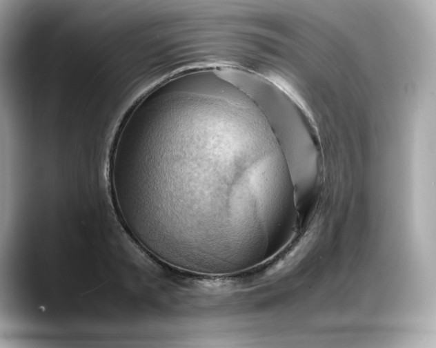X0000088370797200706051040