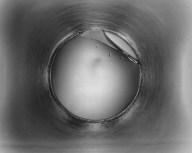 X0000088370798200706051040