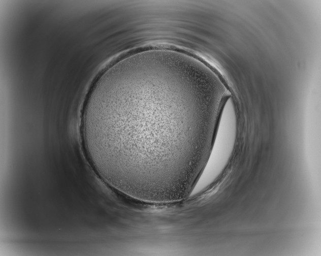 X0000088370799200706051040