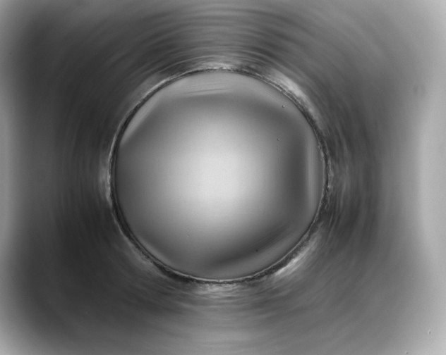 X0000088370802200706051040