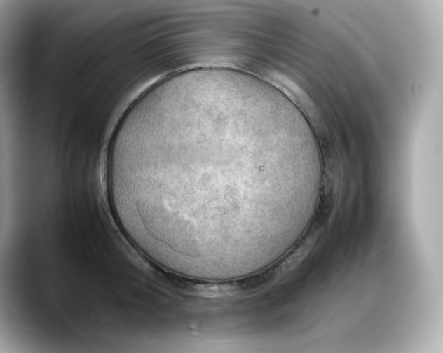 X0000088370804200706051040