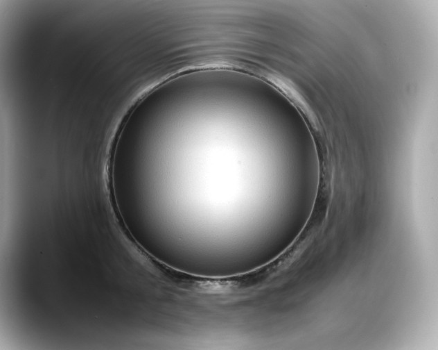 X0000088370805200706051040