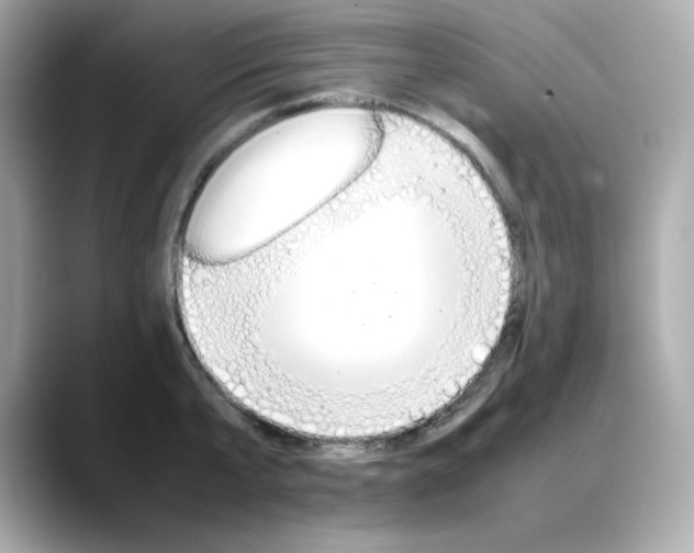X0000088370807200706051040