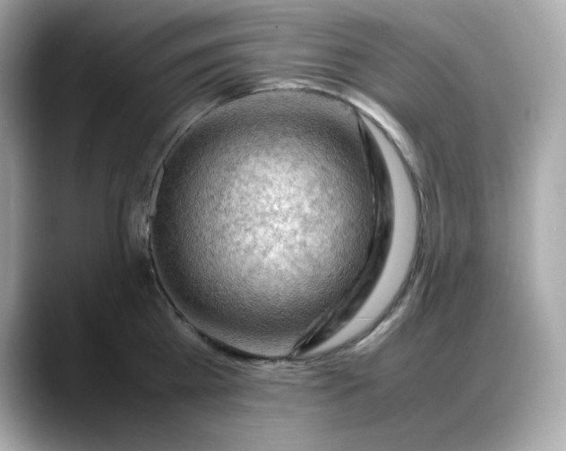 X0000088370809200706051040