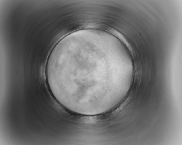 X0000088370810200706051040