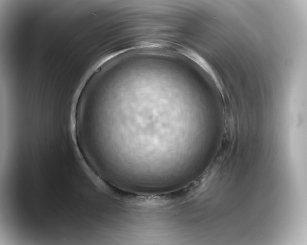 X0000088370811200706051040