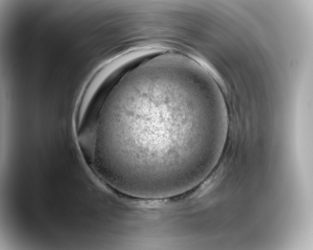 X0000088370813200706051040