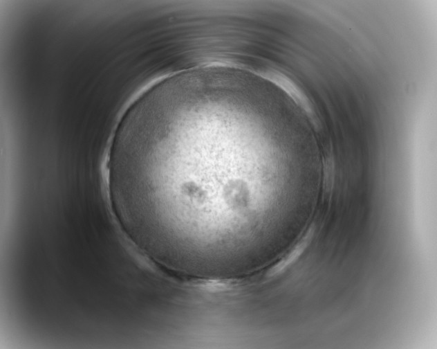 X0000088370814200706051040
