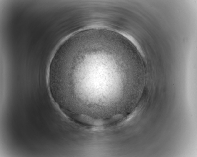 X0000088370815200706051040