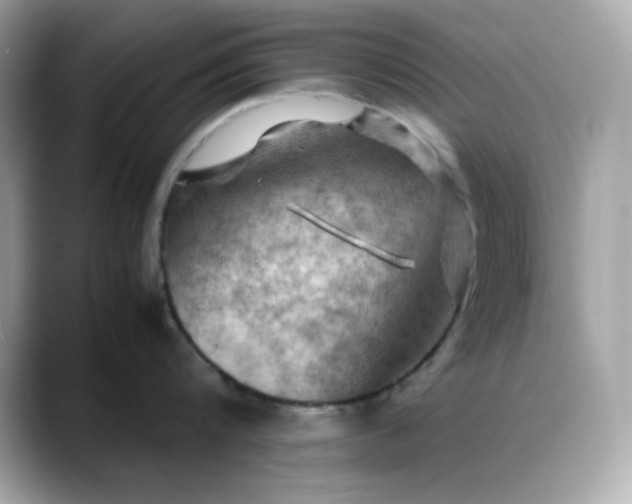 X0000088370816200706051040