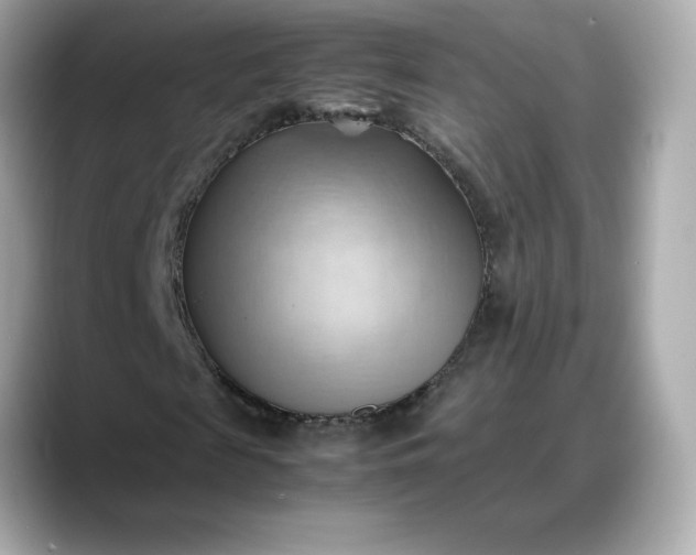 X0000088370817200706051039