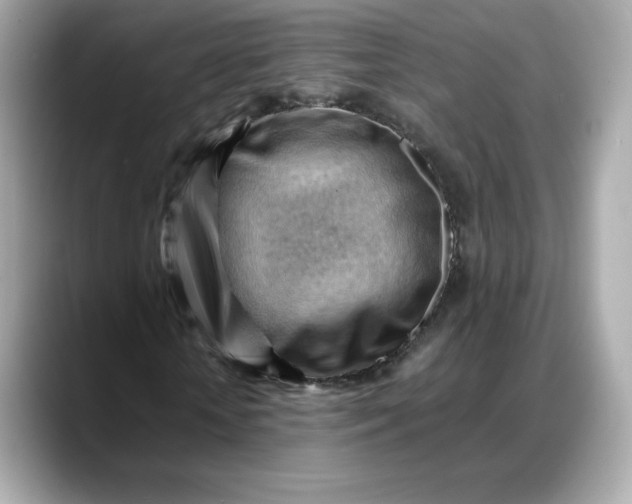 X0000088370818200706051040