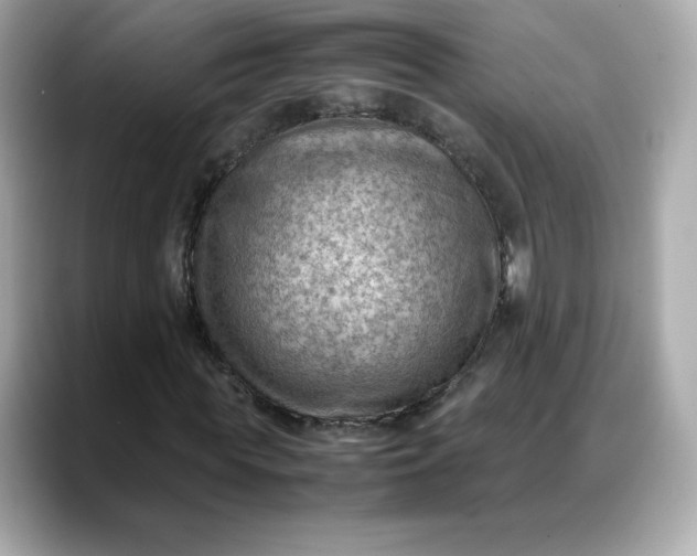 X0000088370819200706051040