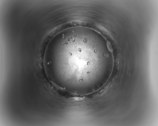X0000088370822200706051040