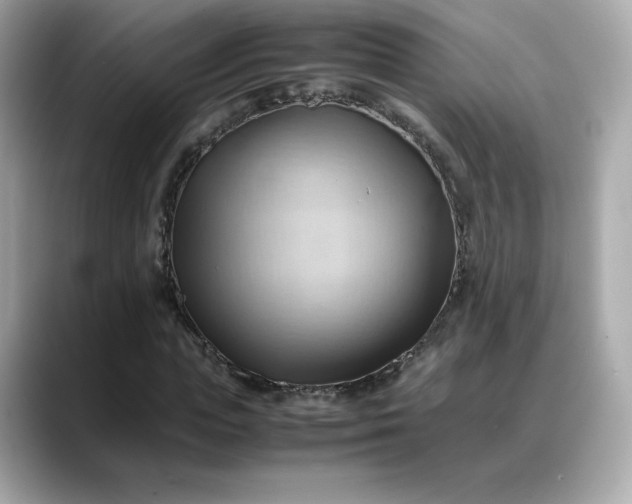 X0000088370823200706051040