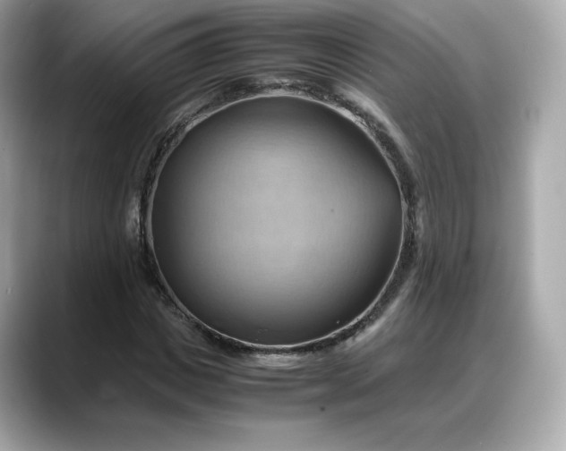 X0000088370825200706051040
