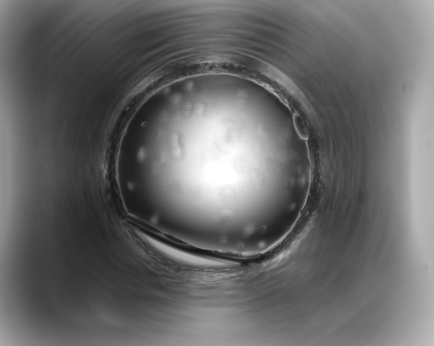 X0000088370826200706051040