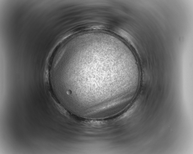 X0000088370827200706051040