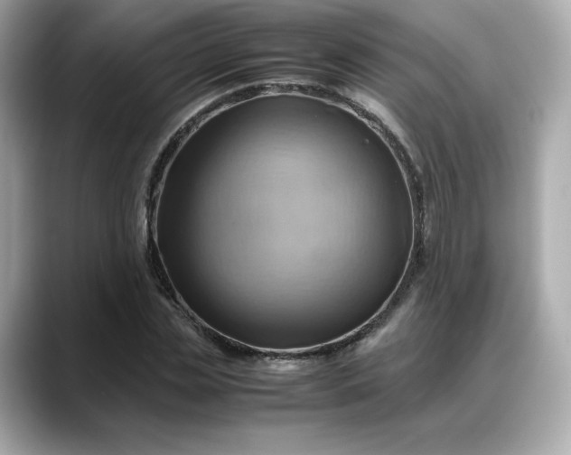 X0000088370829200706051040