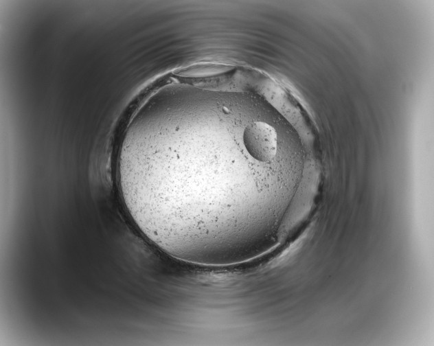 X0000088370830200706051040