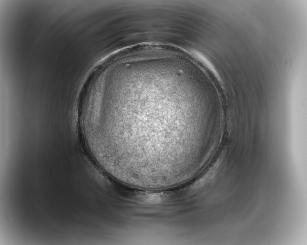X0000088370831200706051040