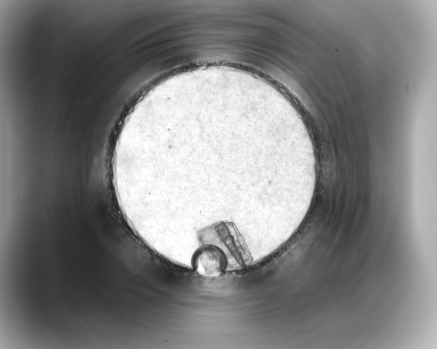 X0000088370832200706051040