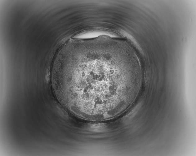 X0000088370833200706051040