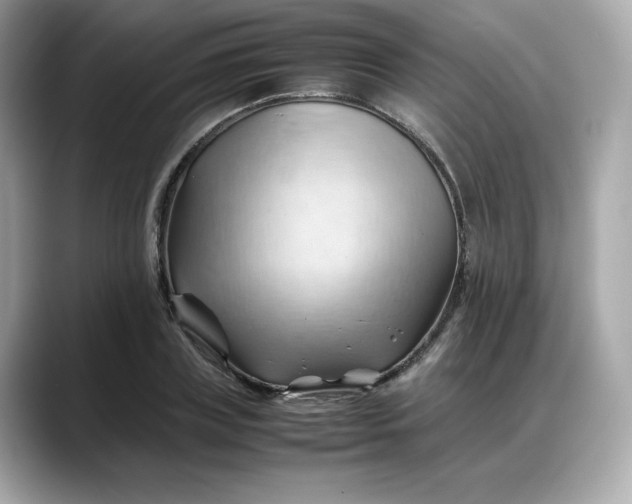X0000088370835200706051040