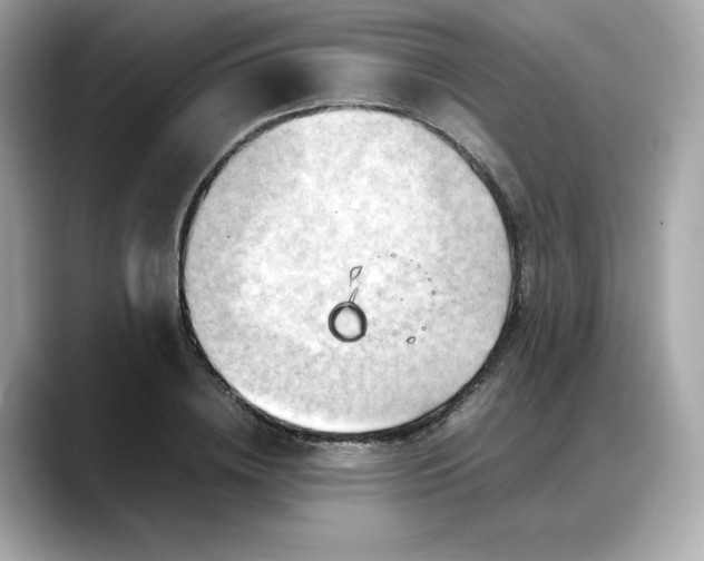 X0000088370836200706051040