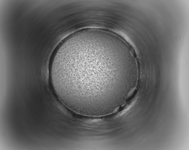 X0000088370837200706051040