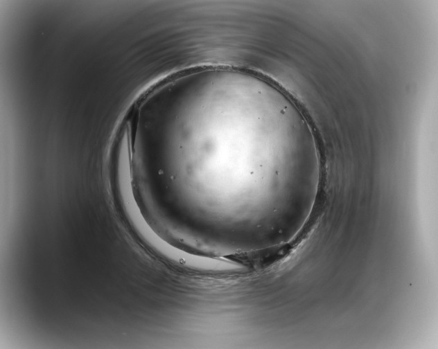 X0000088370838200706051040