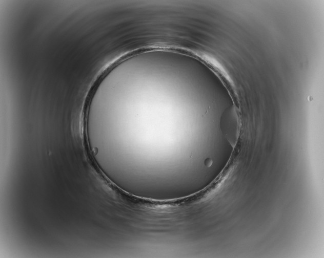 X0000088370839200706051040