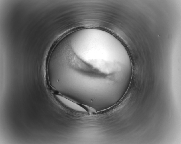 X0000088370840200706051040