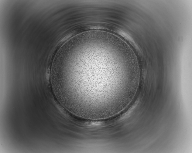 X0000088370841200706051040