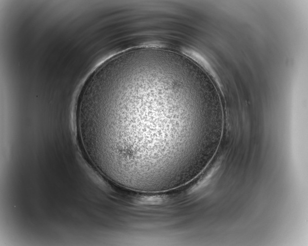 X0000088370843200706051040