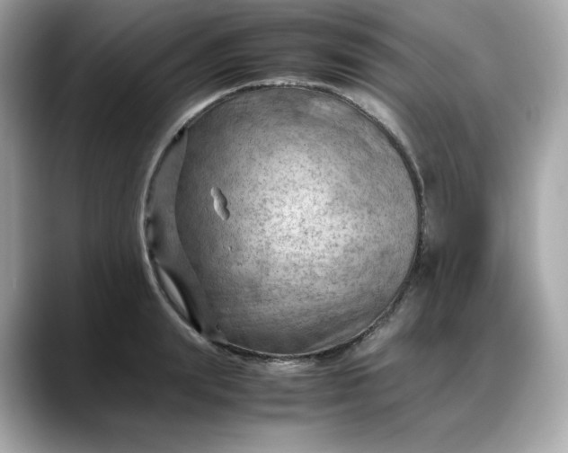 X0000088370847200706051040
