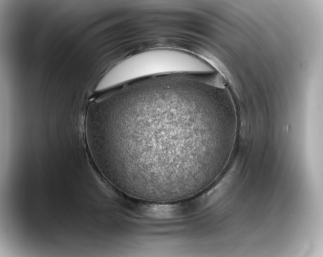 X0000088370849200706051040