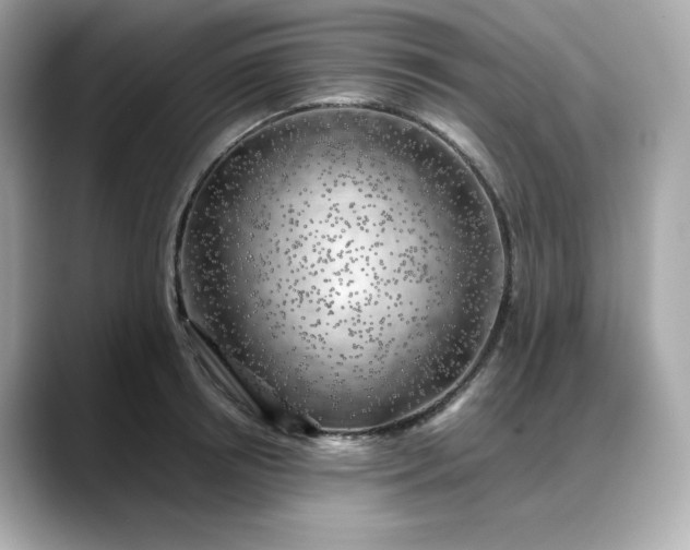 X0000088370850200706051040