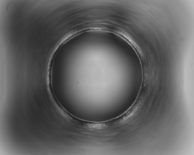 X0000088370853200706051040