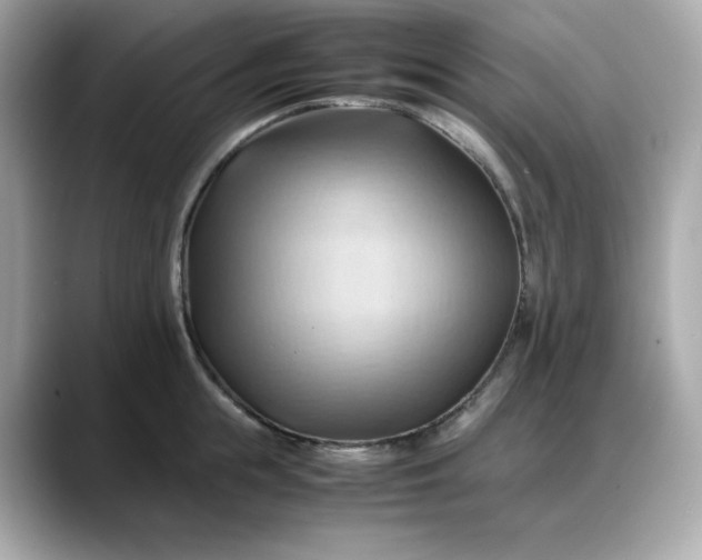 X0000088370855200706051040