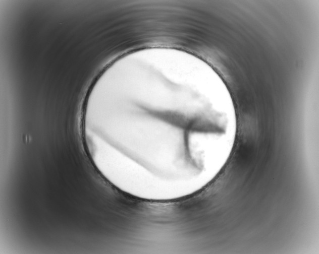 X0000088370856200706051040