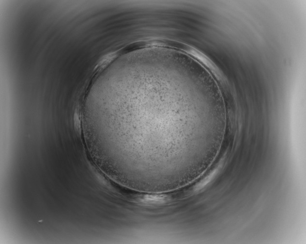 X0000088370857200706051040