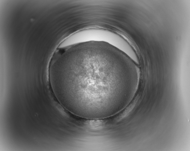 X0000088370858200706051040