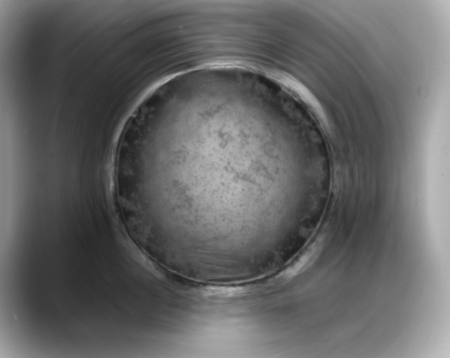 X0000088370860200706051040
