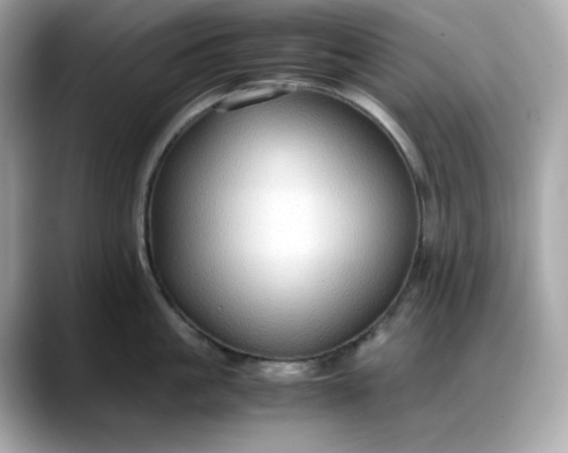 X0000088370861200706051040