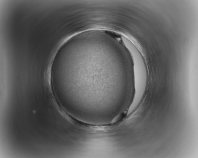 X0000088370862200706051040