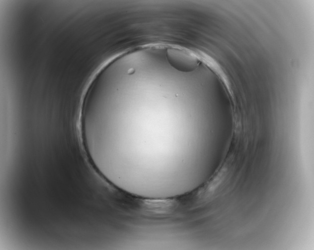 X0000088370863200706051040