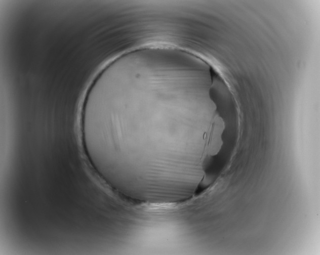 X0000088370864200706051040